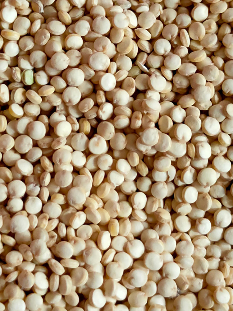 White Quinoa