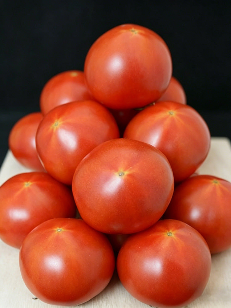 Hokkaido Fruit Tomato