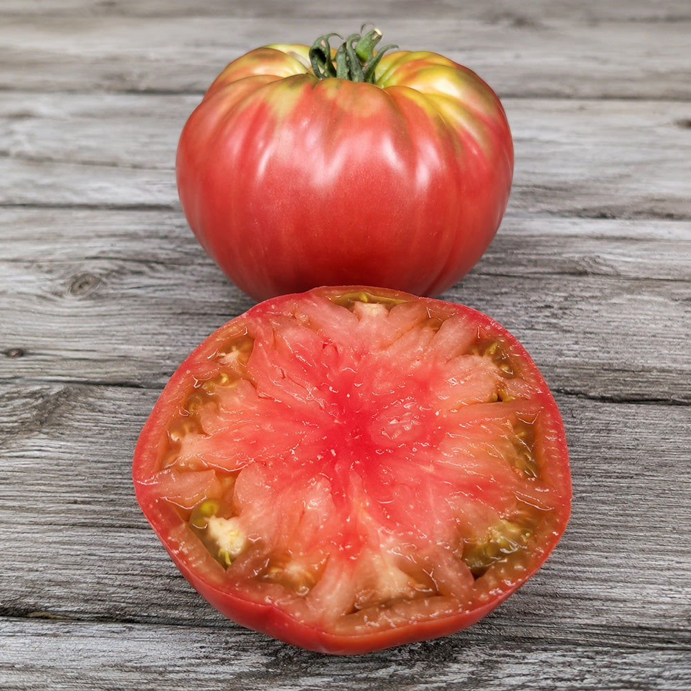 73 Polaris Tomato