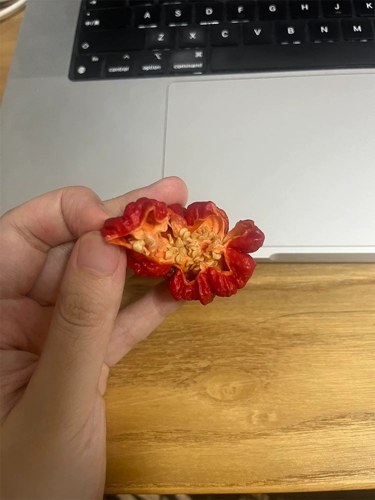 Dragon's Breath Pepper