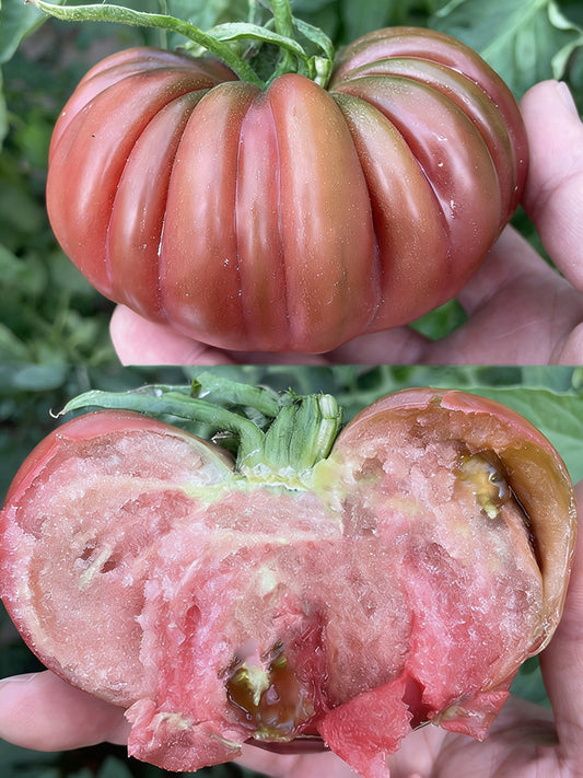 Black Steak Tomato