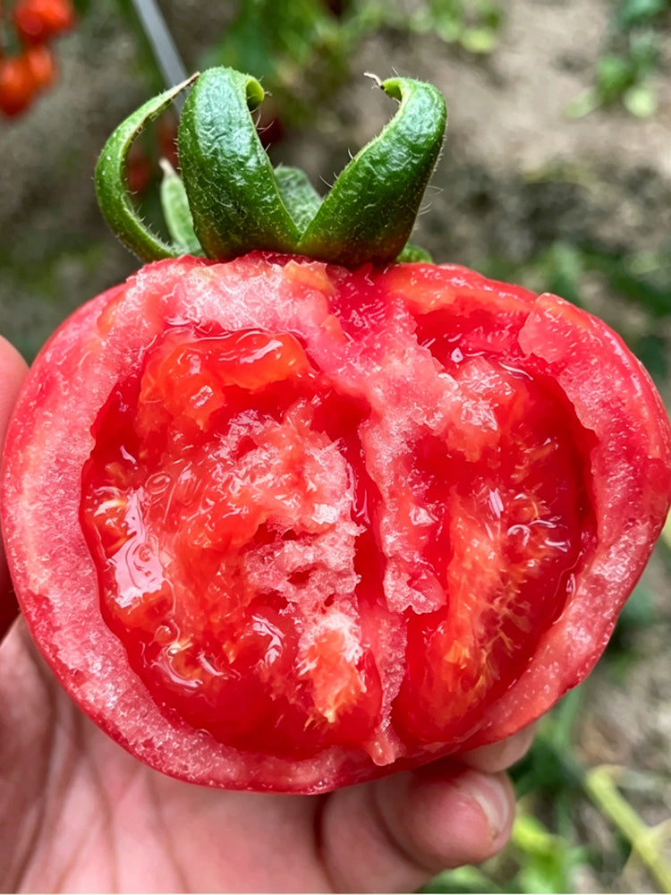 Pink Peach Fruit Tomato