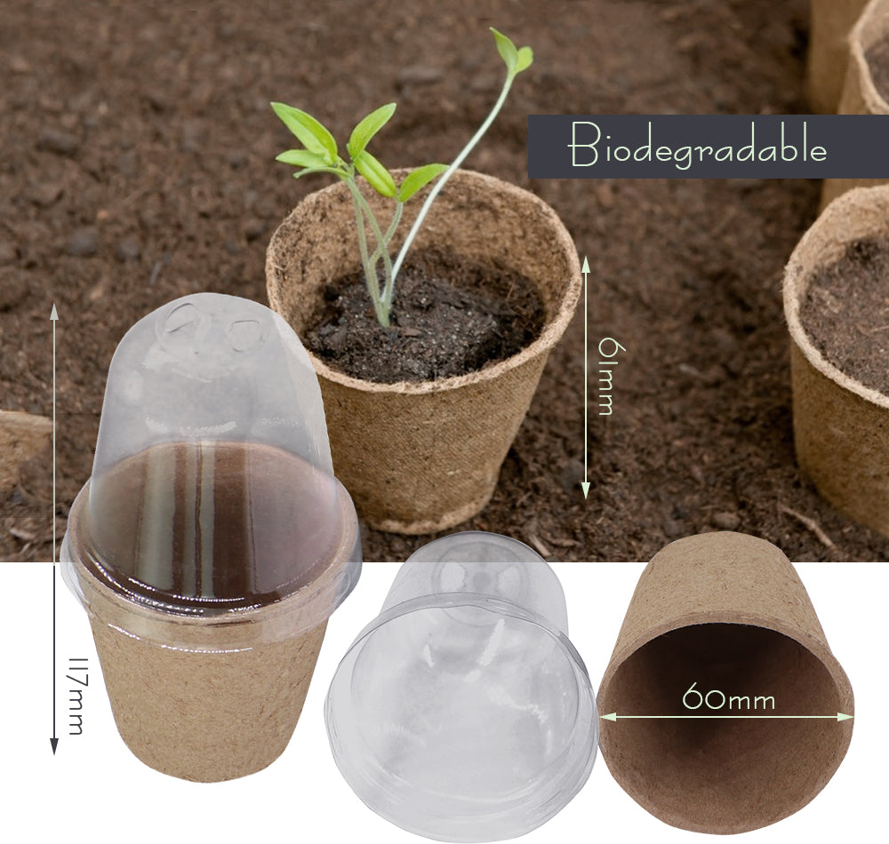 120x60MM Biodegradable Nursery Seedling Cups with Transparent Humidity Dome Cover