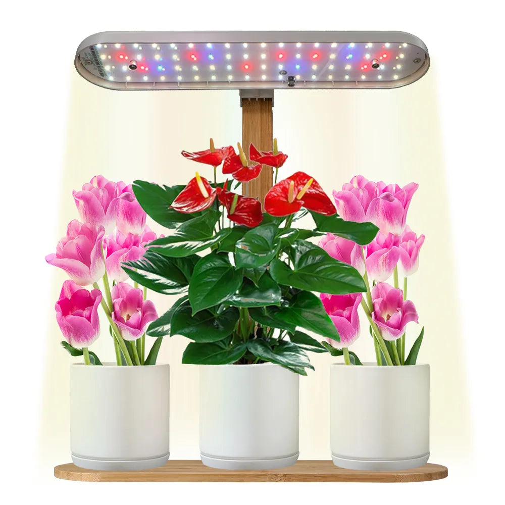 Plant LED Grow Lights 3/9/12 H Timing Controller with Bamboo Base and Stake