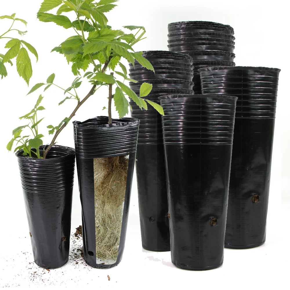 Plastic Deep Plant Nursery Pots, Pack of 50