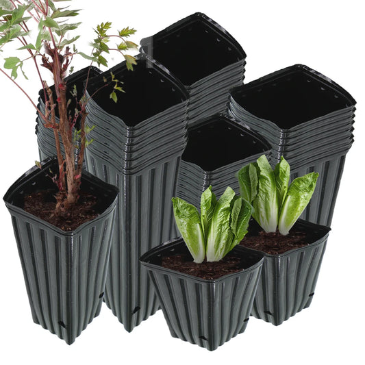 Plastic Deep Plant Nursery Pots Quadrate, Pack of 50