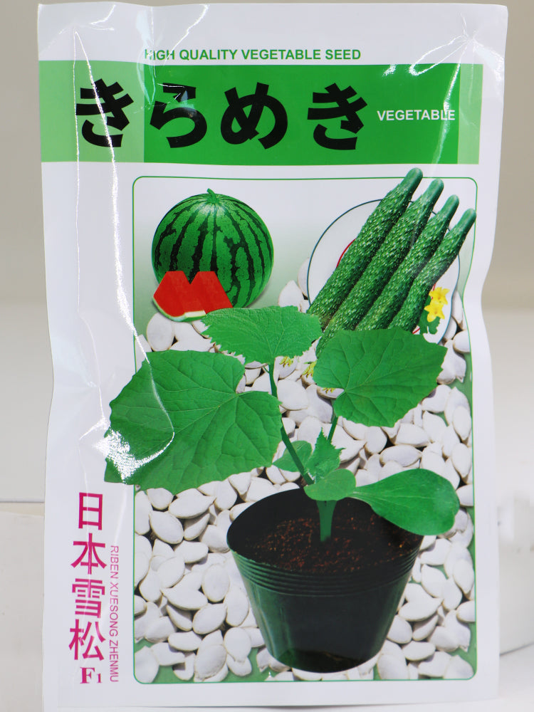 150g Japan Rootstock White Pumpkin Seeds for Grafting Cucumbers, Watemelons, Sweet Melons