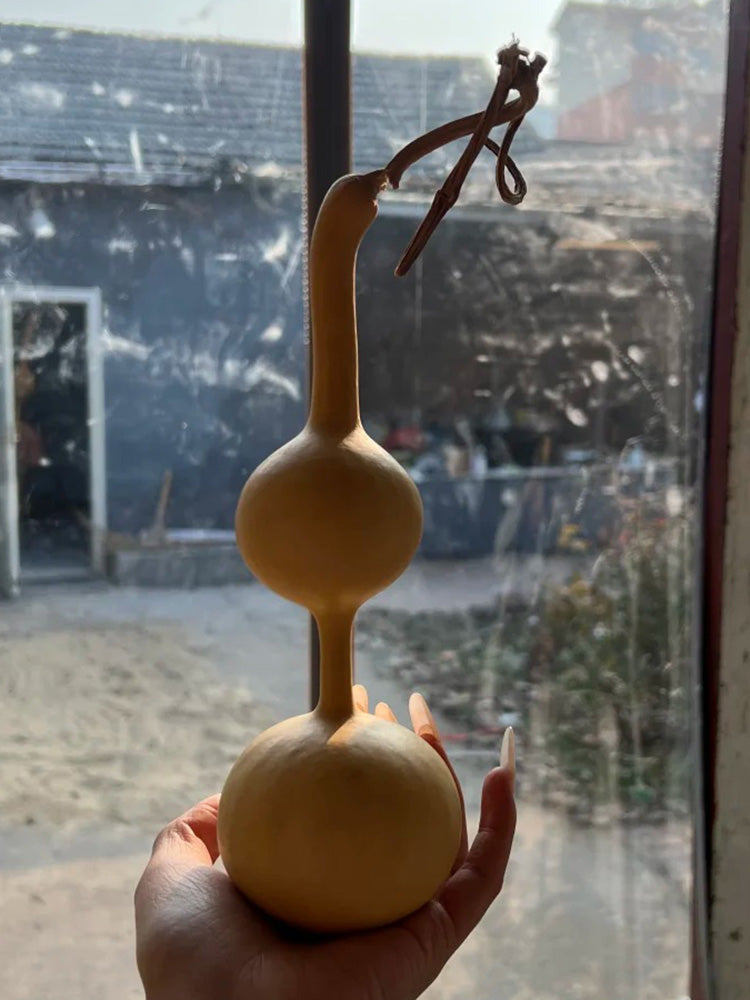 Xiaosan Ting Gourd
