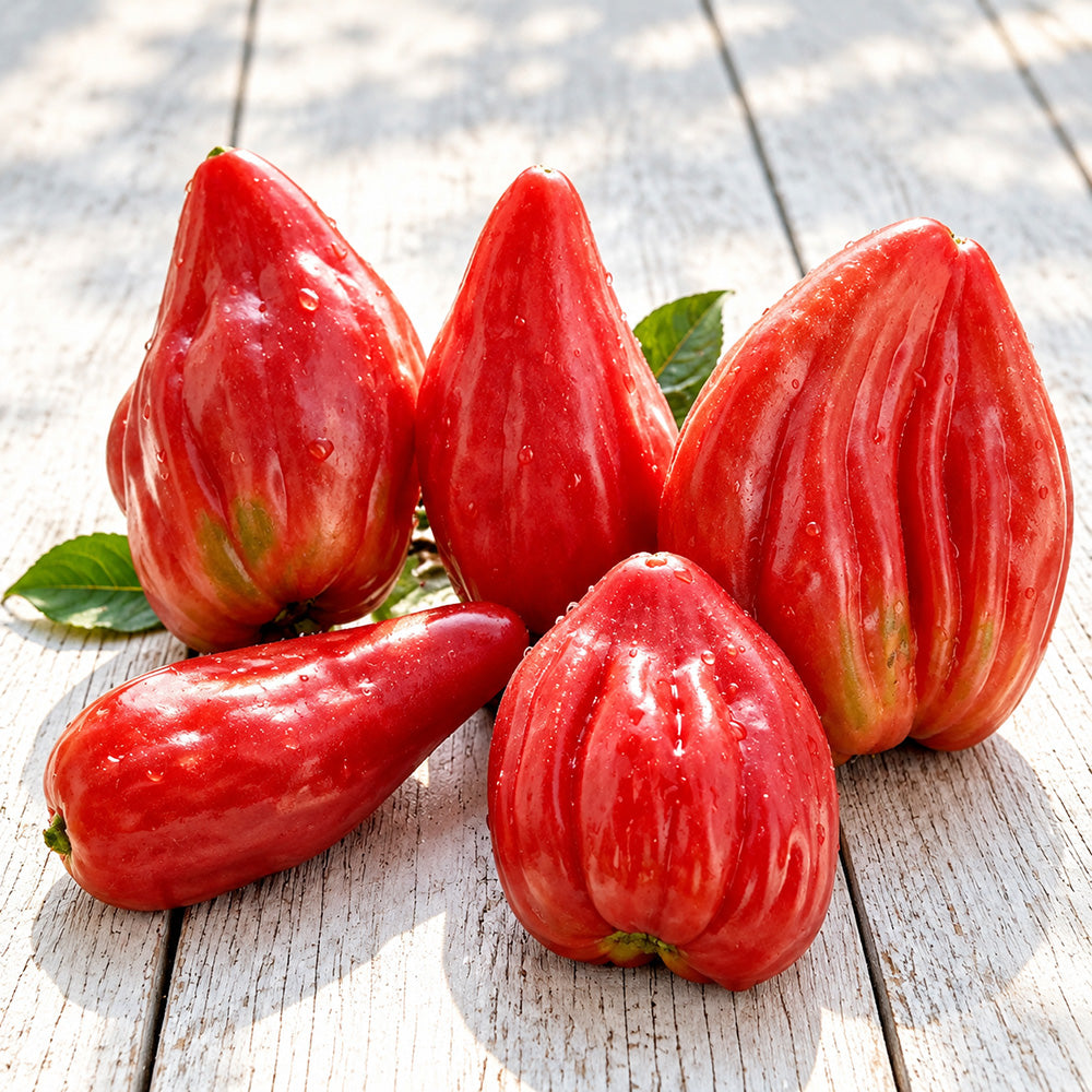 794 Pink Tulip Tomato