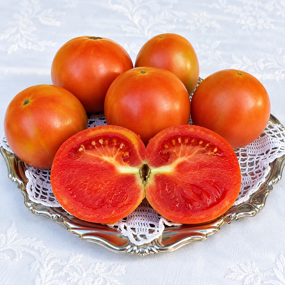 462 Winter Wonder Tomato