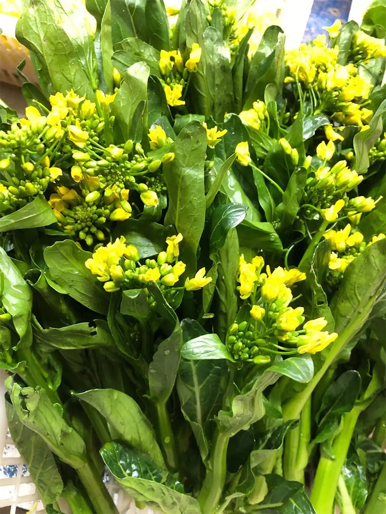 Green Tender Sweet Choy Sum