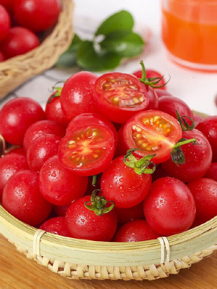 'Red Millennium' Cherry Tomatoes