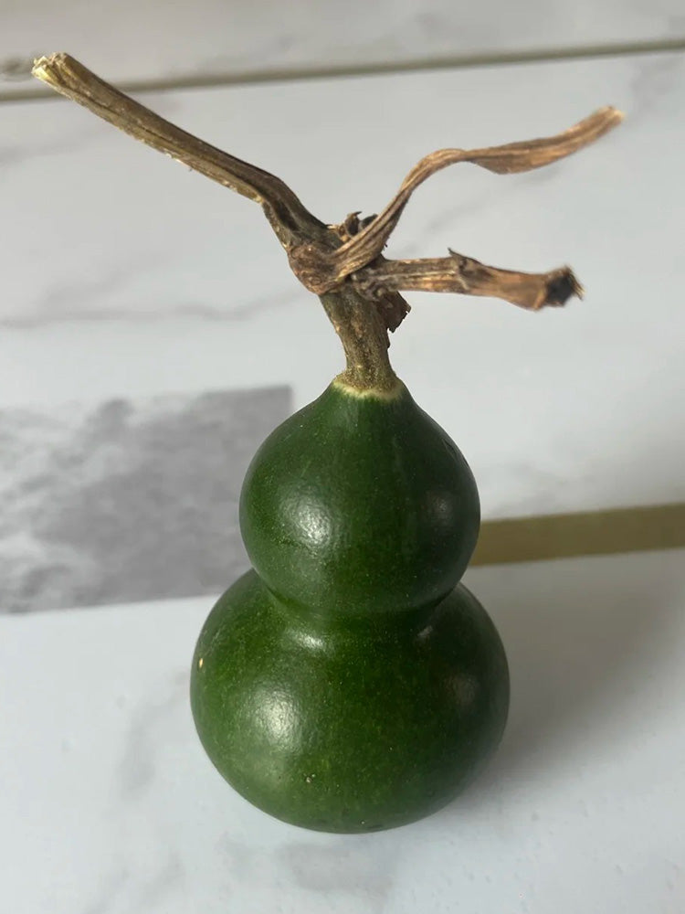 Dark Green Gourd