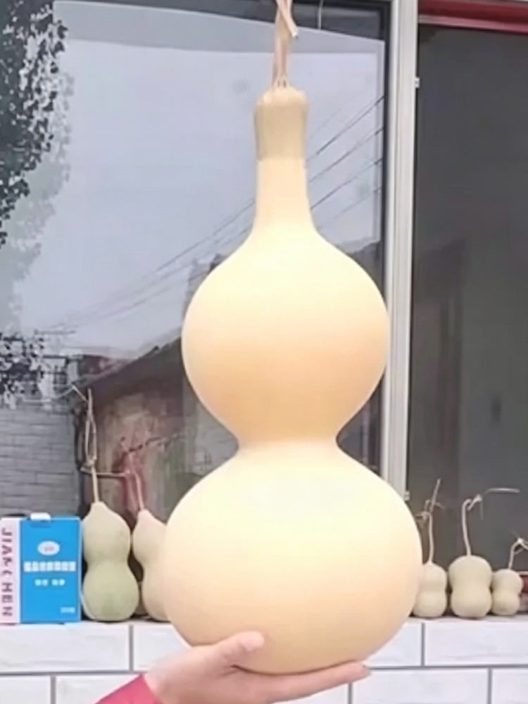 Large Wine Gourd
