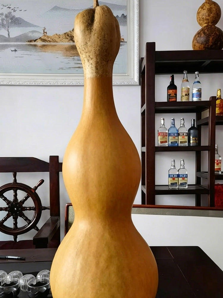 Extra-large Lotus-head Gourd
