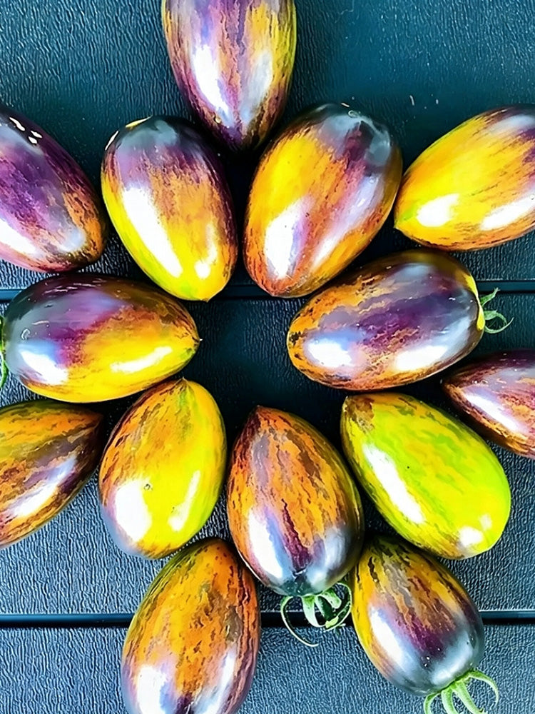 Atomic Fusion Tomato