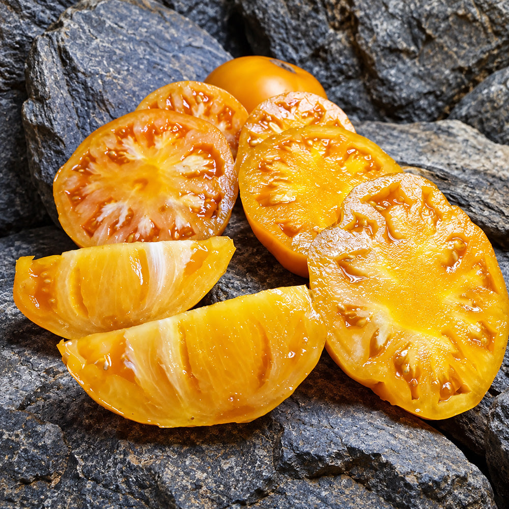 431 Apricot Brandy Tomato