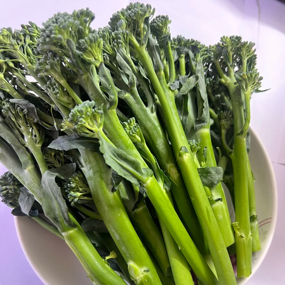 W962 Jie Mei Sprouting Broccoli