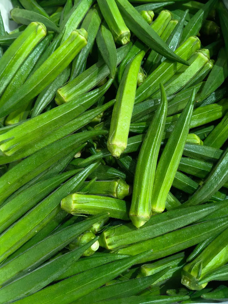 Lianglv No.2 Okra