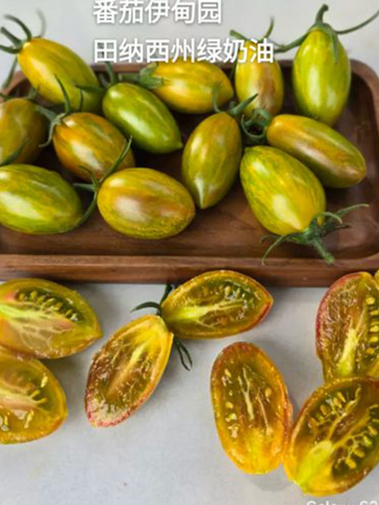 'Surprise Green Cream' Tomato