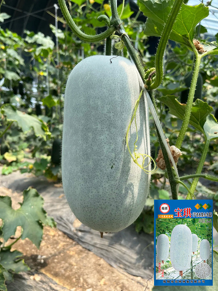 Baoqi Taro-Scented Winter Melon