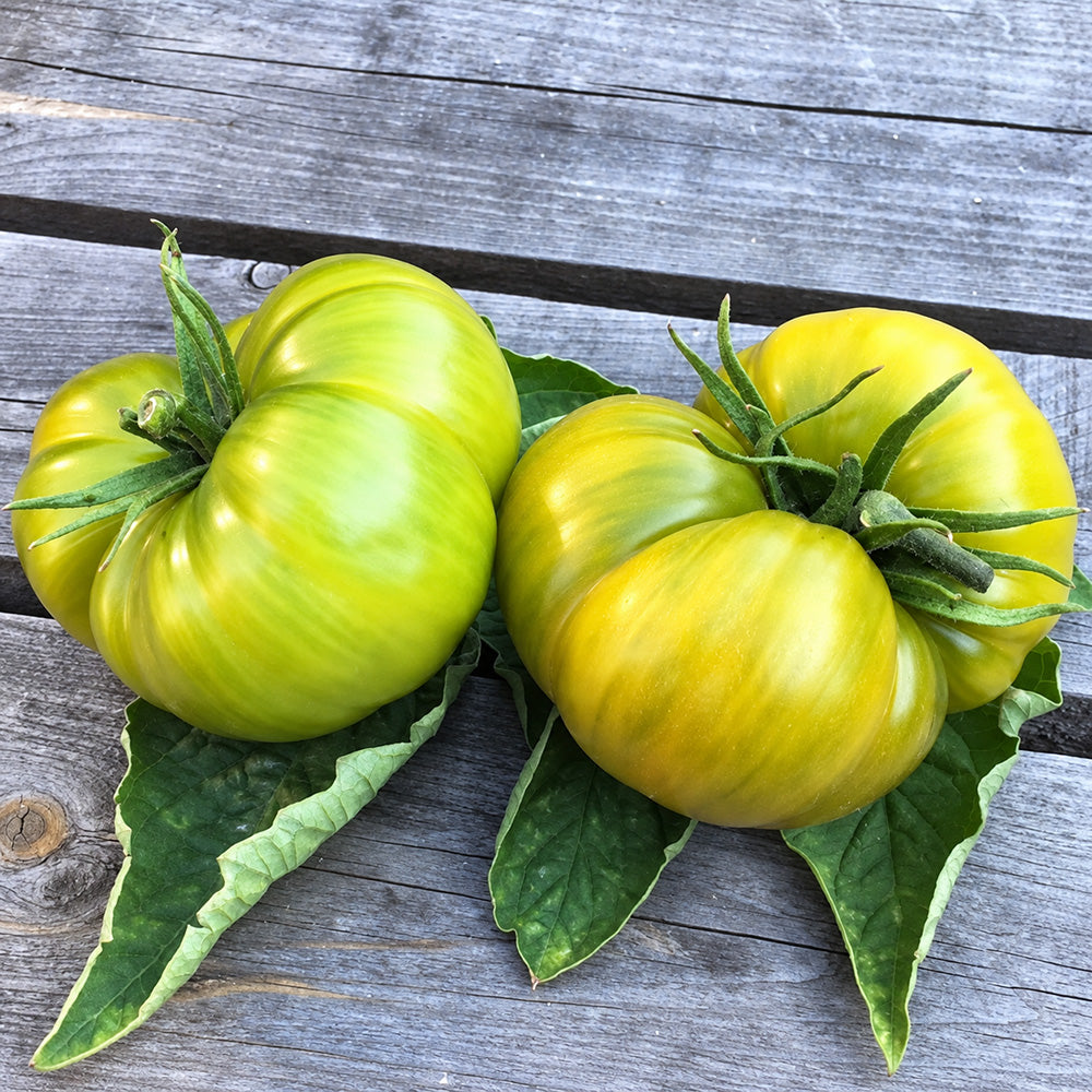 217 Green Pineapple Tomato