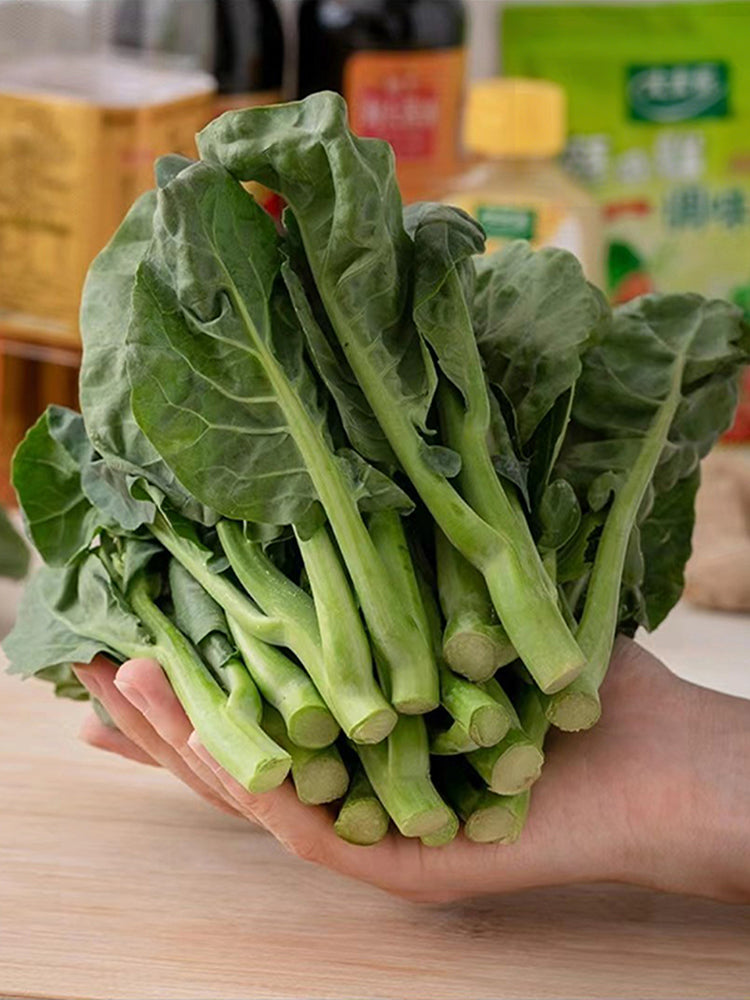 Wrinkle-leaf Mid-flowering Chinese Kale