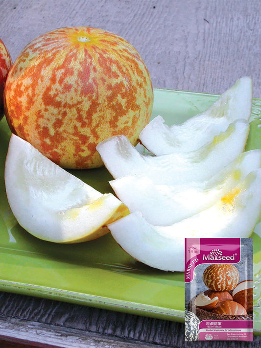 Tiger Melon