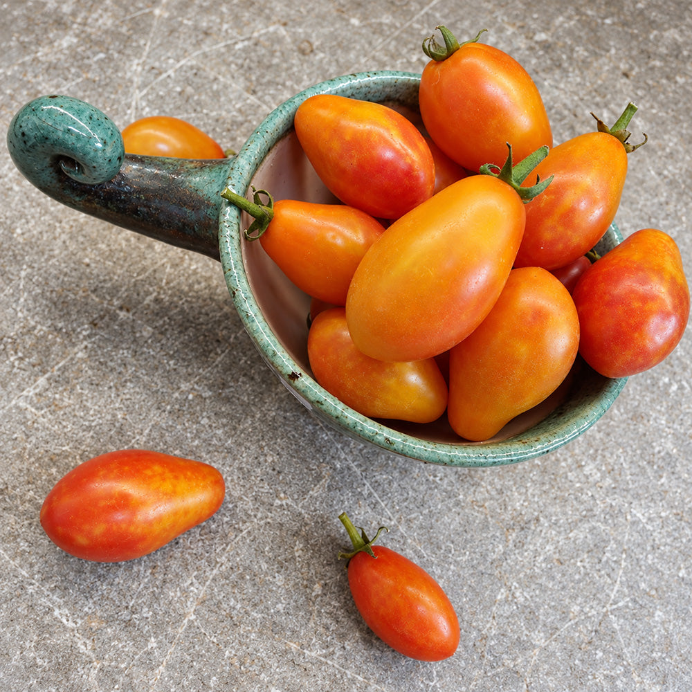 344 Submarine Blush Tomato
