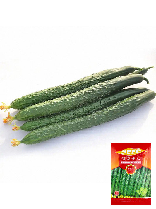 'Emerald Heart' Cucumbers (Cucumis sativus)
