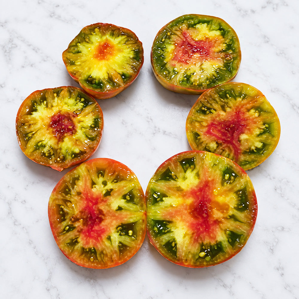 489 Jarson 1 Tricolor Tomato