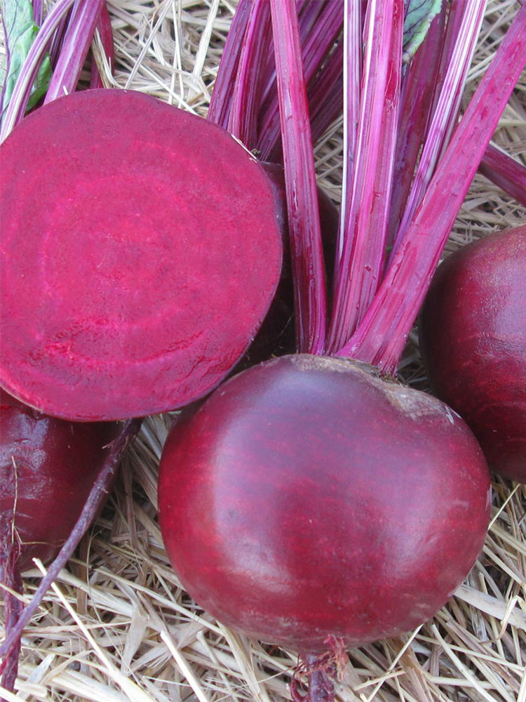 Dutch Red Beetroot