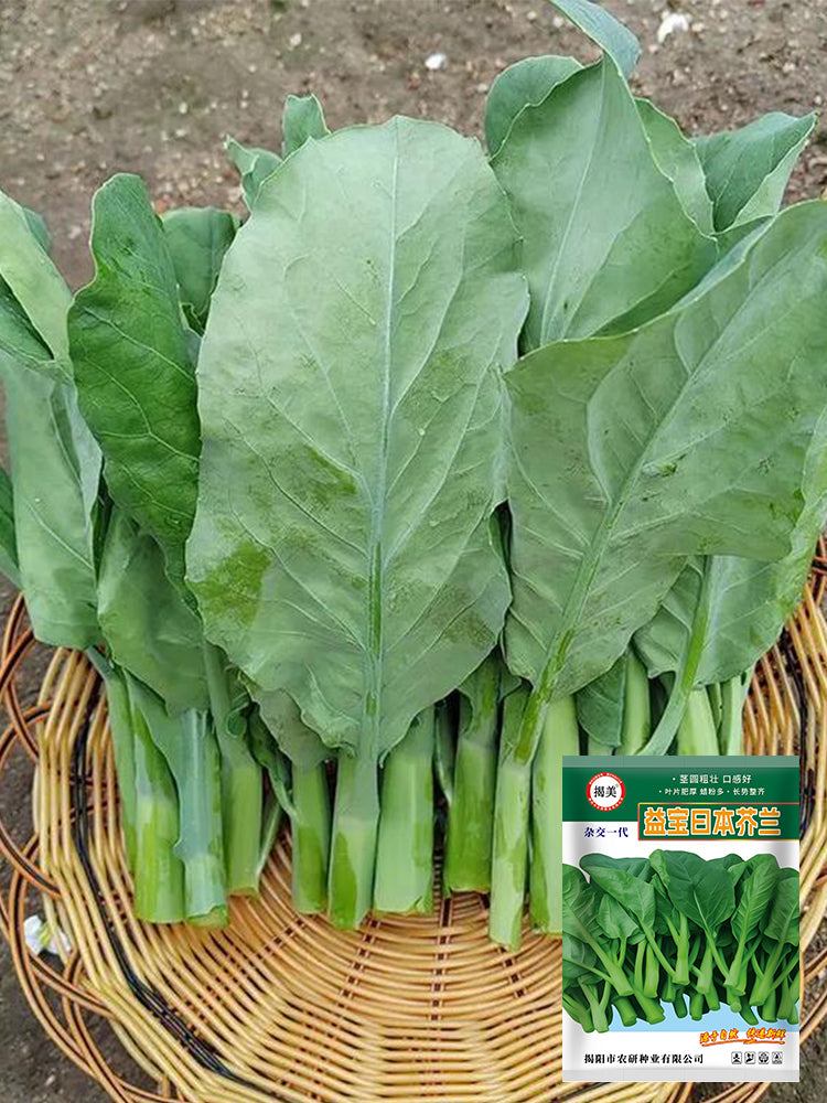 Yibao Japanese Mustard Greens