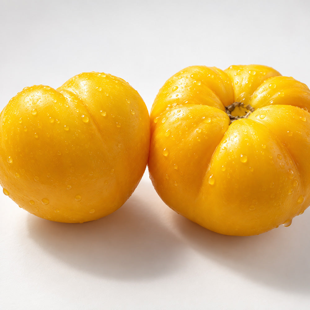 465 Golden Filling Tomato