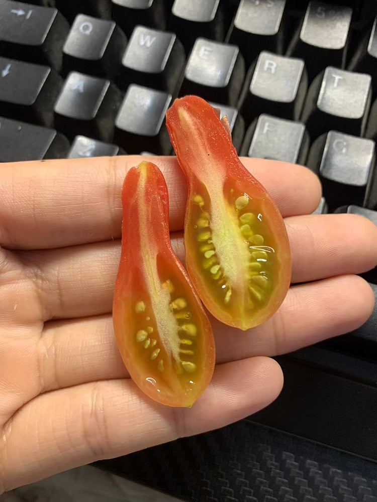 Elf's Tear Tomato