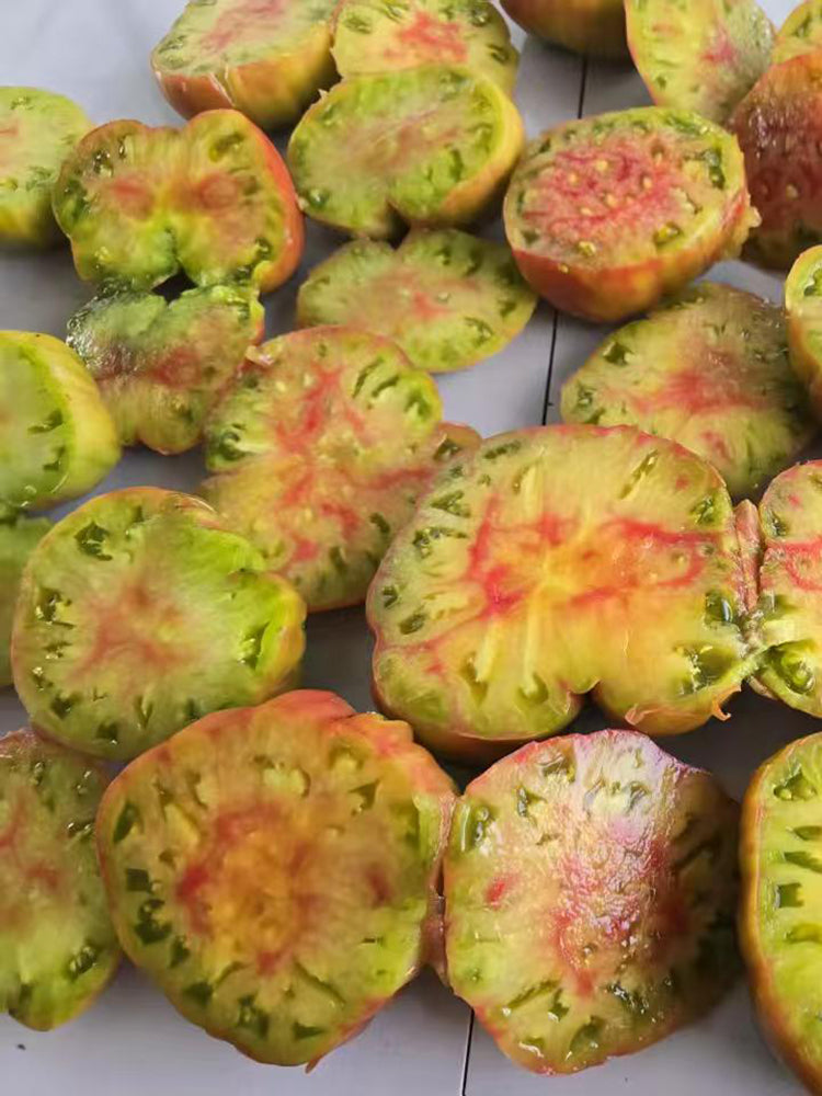 1106 Luxury Piglet Tomato