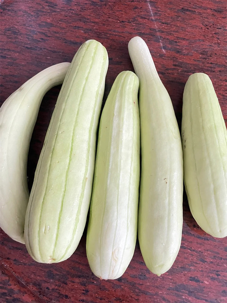 Yangchun White Melons