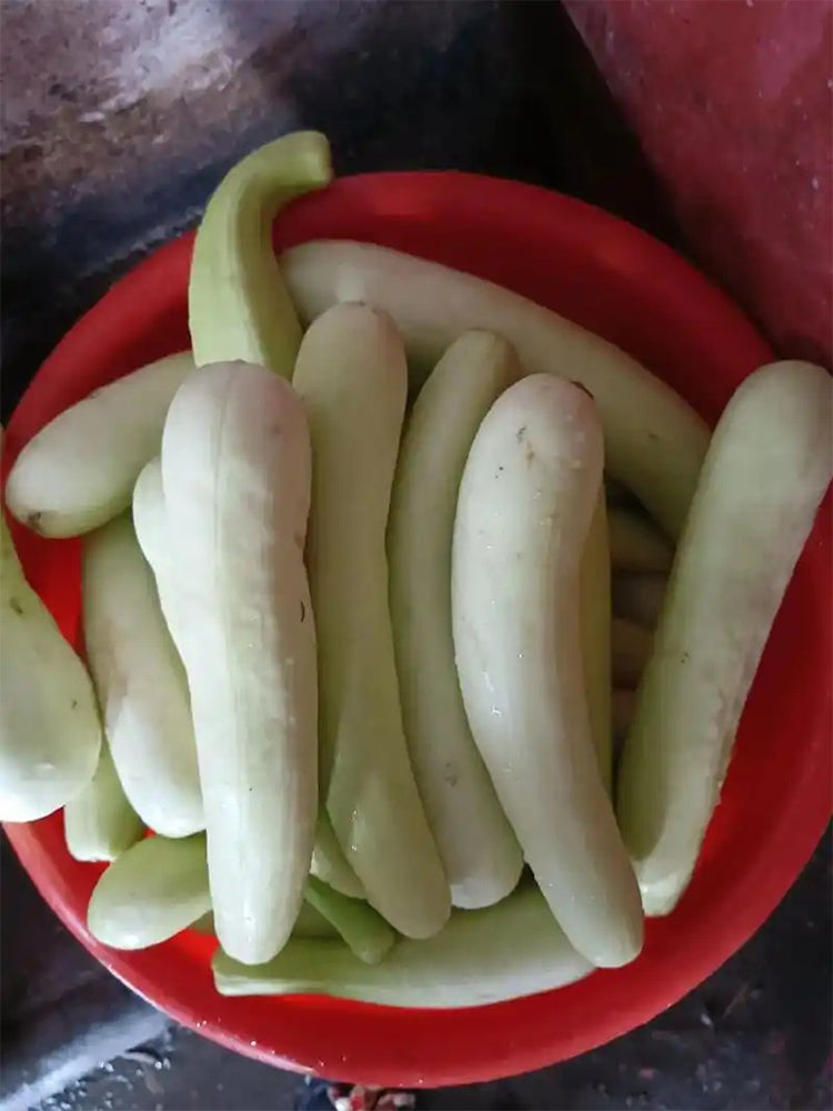 Yangchun White Melons