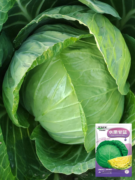 Fruit Cabbage