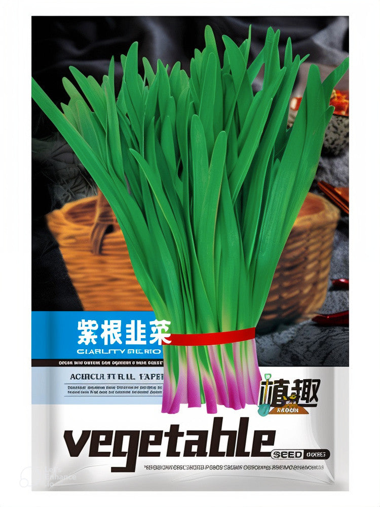 ZHIQU Purple-rooted Chinese Chives