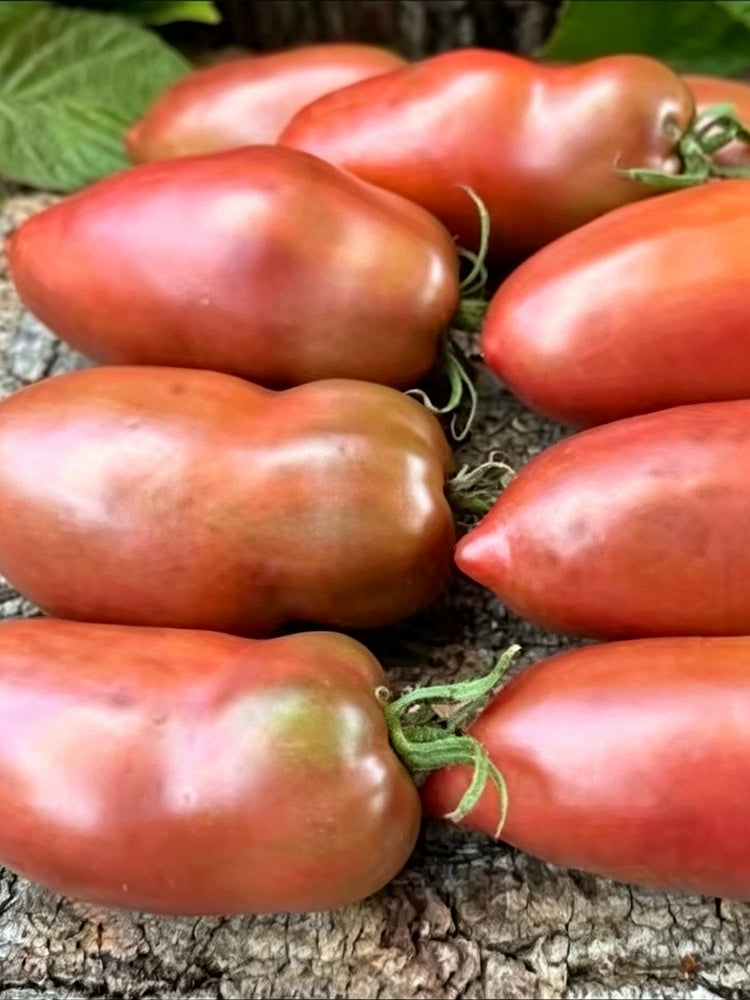 939 Chocolate Pepper Sauce Tomato