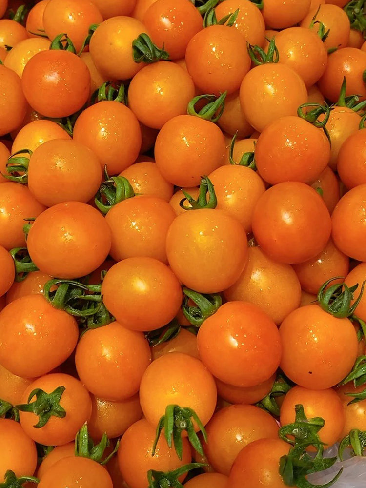 Golden Emperor Cherry Tomato