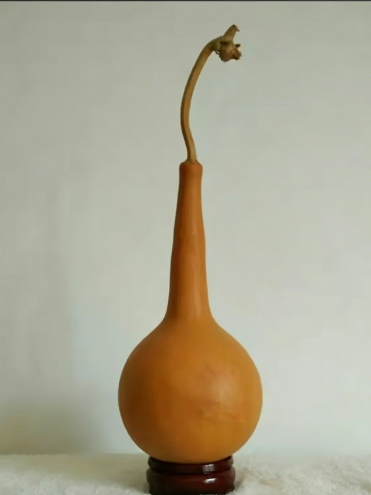 Small Long-handled Gourd