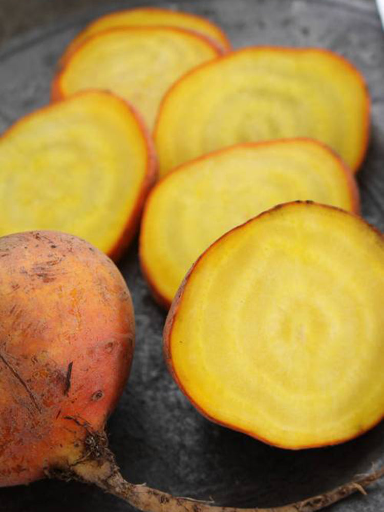 Yellow Beetroot