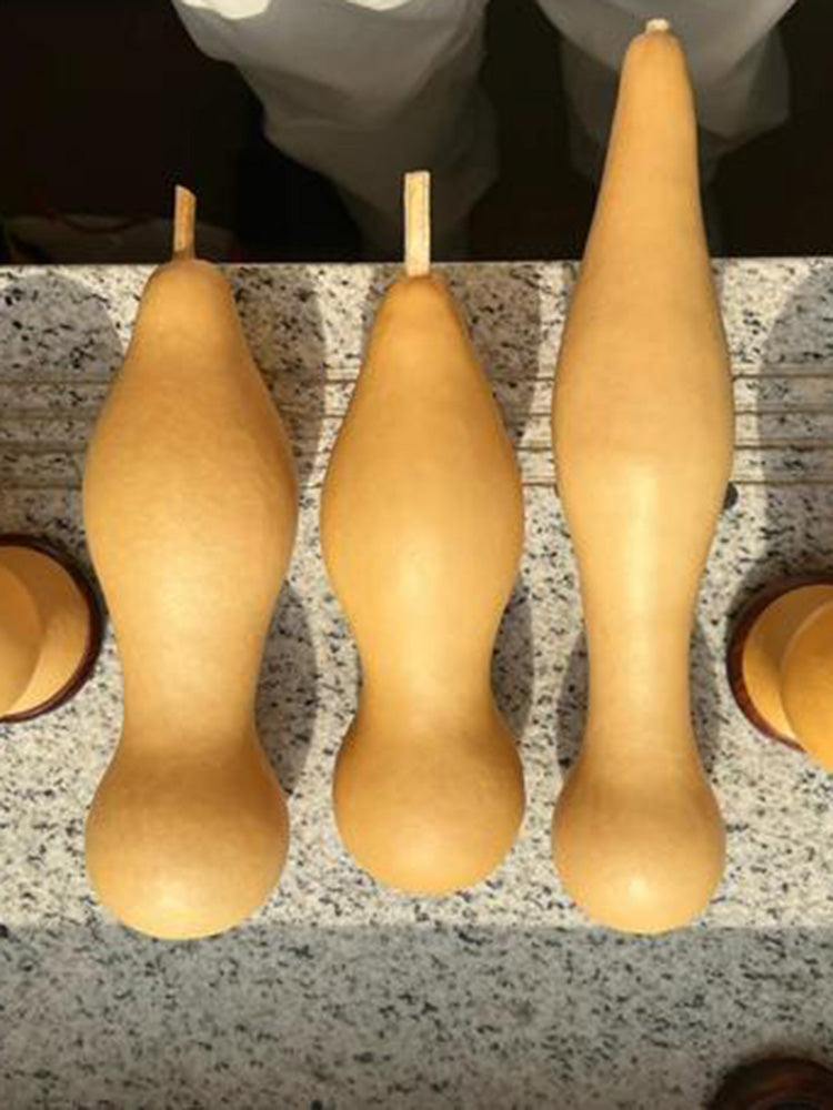 'Ben Zhang' Gourd