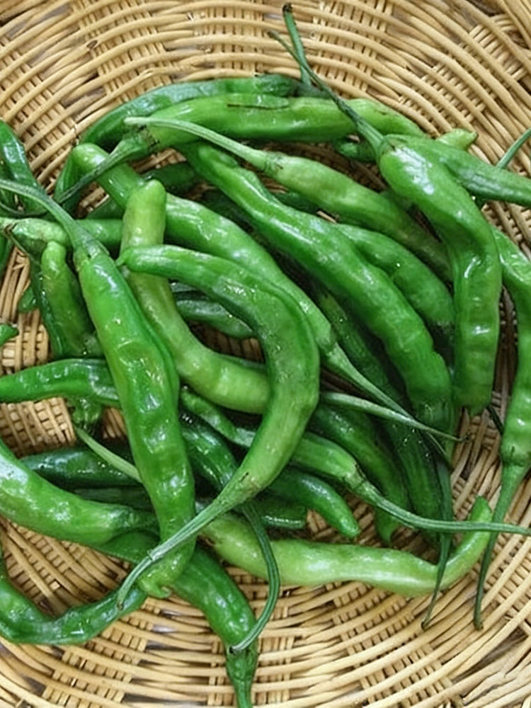 Korean Green Chili Pepper