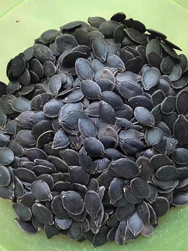 Figleaf Gourd