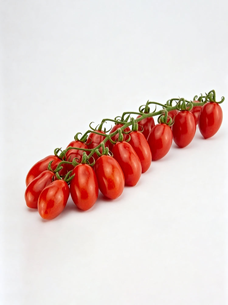 968 Red Date Tomato
