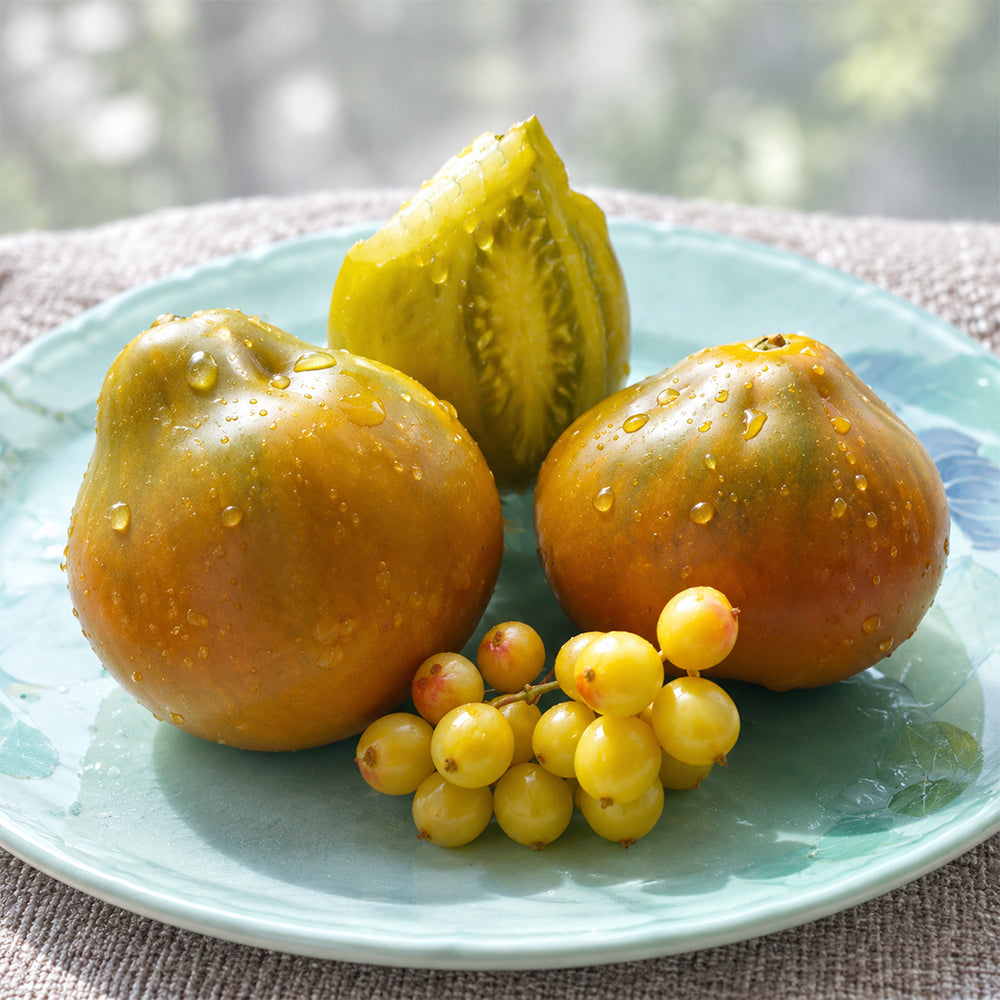 85 Ochre Pear F6 Tomato