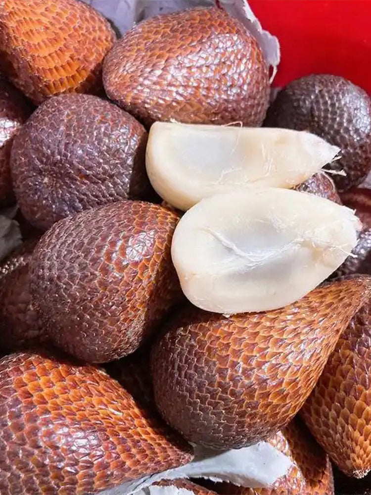 Salak Palm